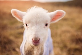 九游娱乐官网 (jiuyou)-男篮青年队采用集中住宿制度强化纪律意识，男篮入住酒店接待方案