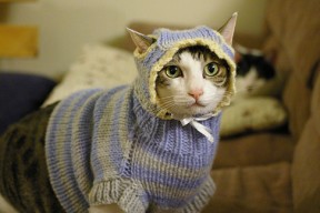 -独行侠前锋封盖训练数据连续刷新队内纪录，独行侠队控卫