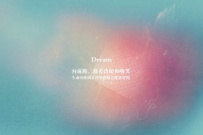 九游网页版入口-阿伦·斯密斯：以无与伦比的进攻调度，助力全黑队创造历史佳绩