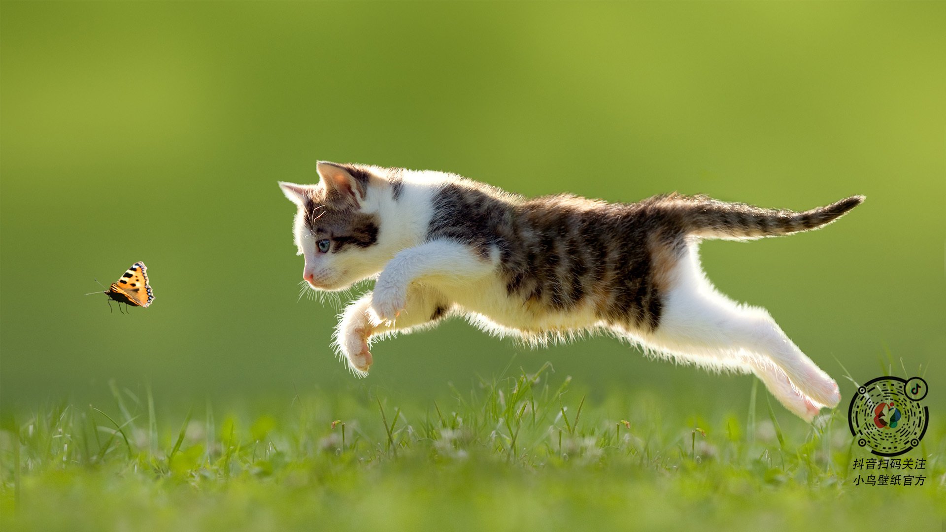 尼克斯传导球流畅助攻数据提升明显，尼克斯传导球流畅助攻数据提升明显吗