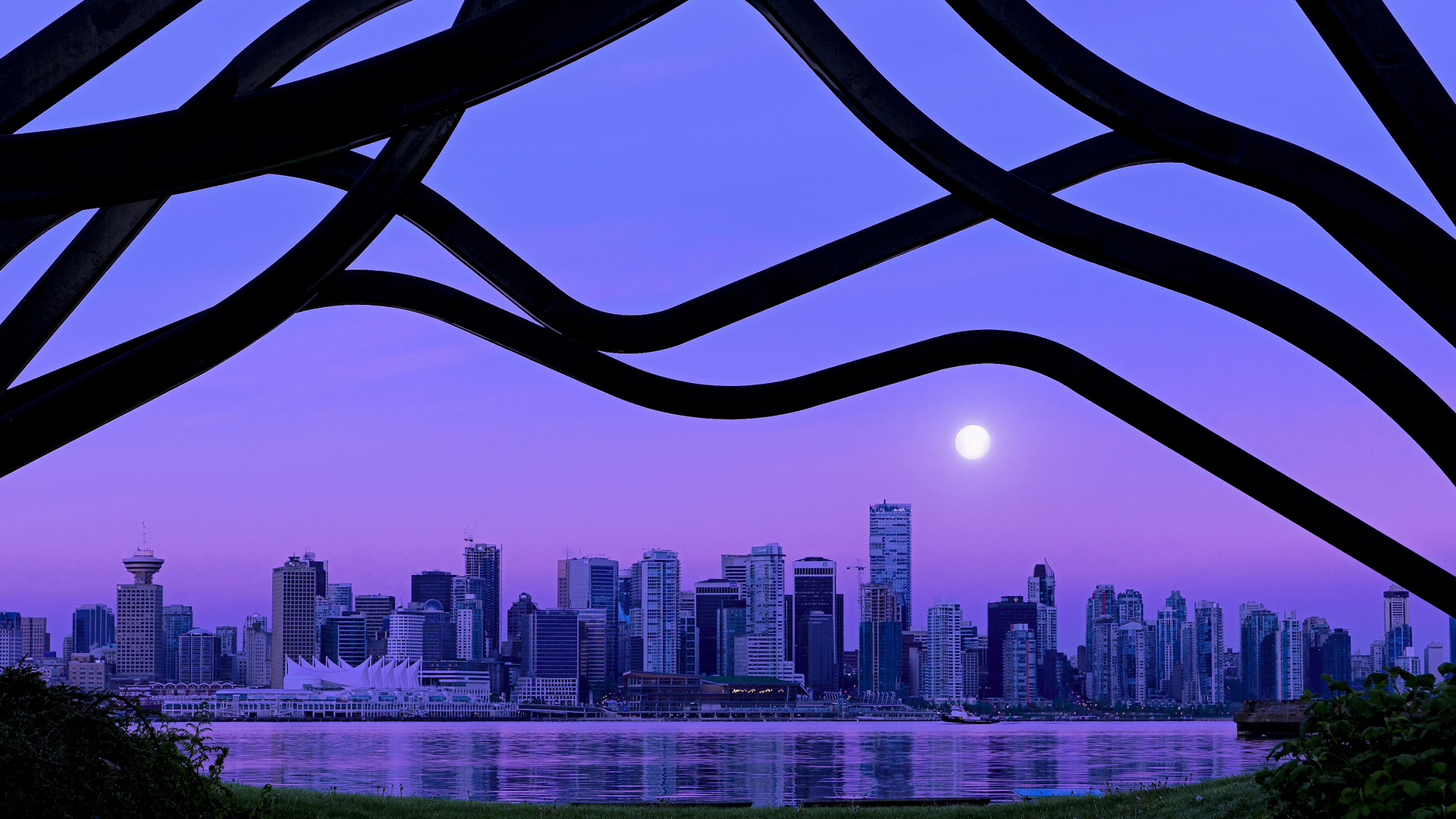 莫伊:全黑队前锋线上的核心力量,每一场比赛都成为球队的稳定器