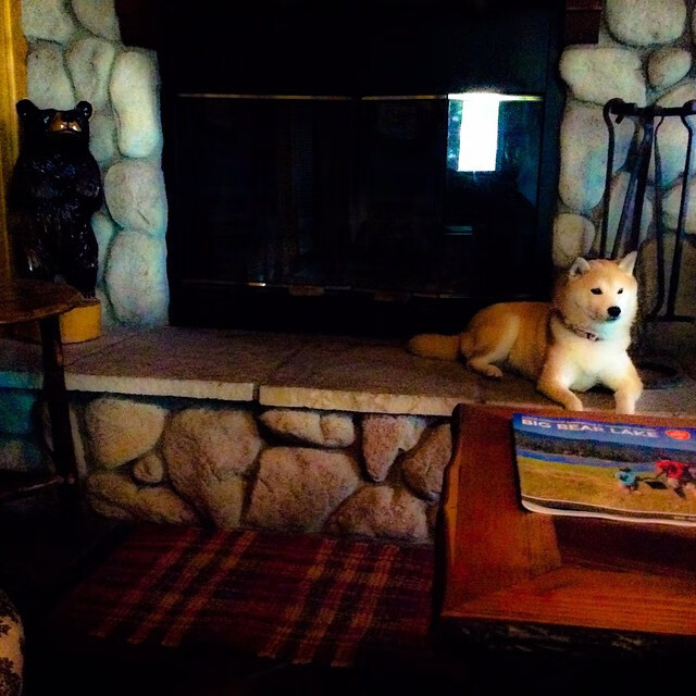 “罗密欧·冈萨雷斯的技术突破与进攻协作，帮助美洲狮队在世界舞台崭露头角”